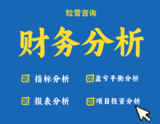 财务分析